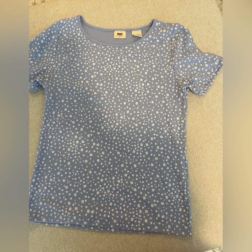 Levi's Blue and White Short Sleeve Tee
